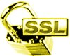 Secure Socket Layer