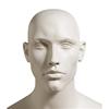 Male Mannequin Head 804