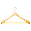 Shaped Hanger