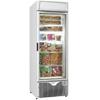 Glass Door Display Freezers