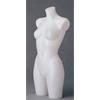 Female - Torso