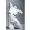 Female Premium Body 2 Female Premium Body 2