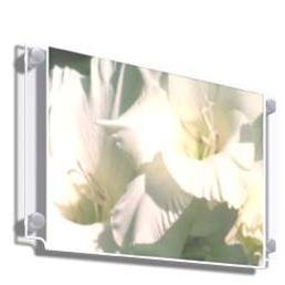 A3 Landscape Wall Mounted Poster Holder A3 Landscape Wall Mounted Poster Holder