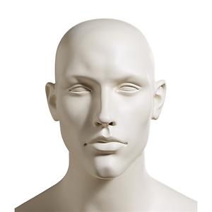 Male Mannequin Head 804