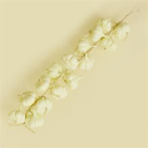 Standard Garlic String