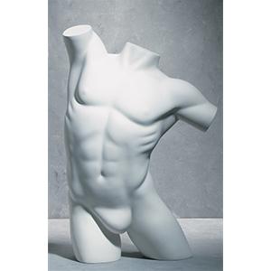 Male Premium Body 2